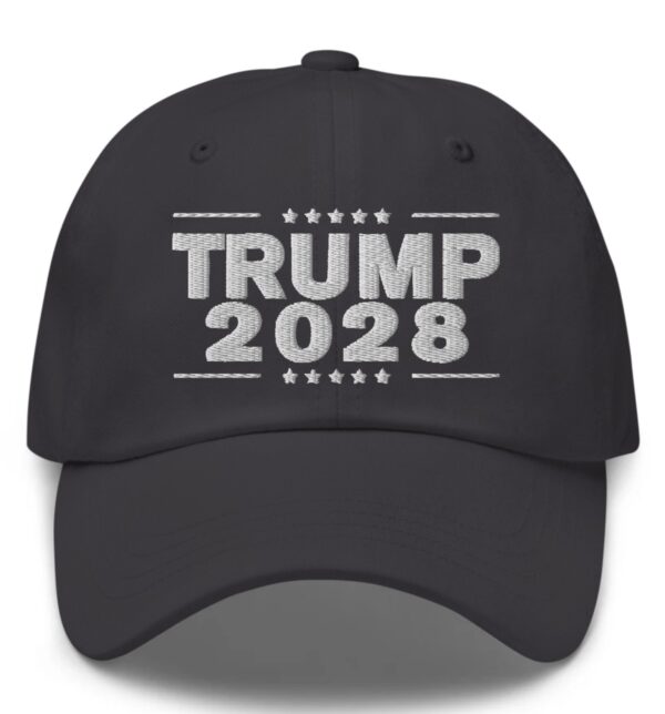 Trump 2028 Dad Hat