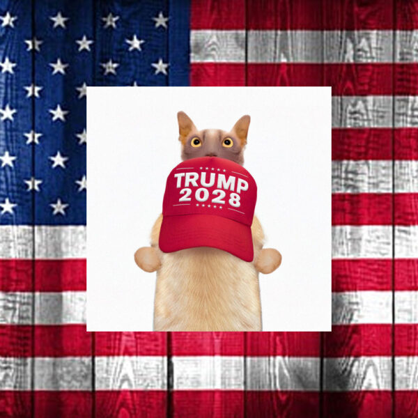 Trump sells ‘Trump 2028’ hats, fueling third-term speculation