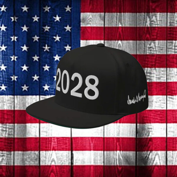 cap for Trump supporters 2028 - hat